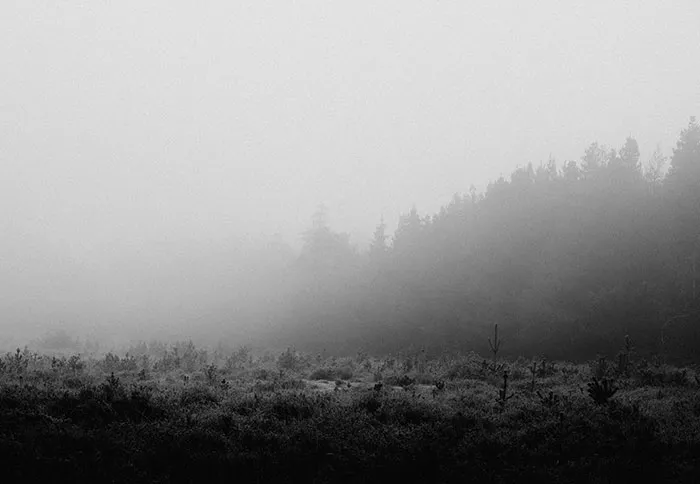 58 People Who “Died” And Came Back To Life Share What They Saw On The Other Side