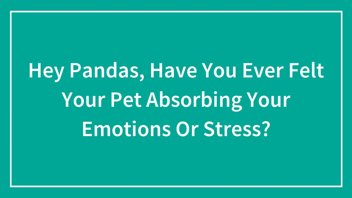 Hey Pandas, Have You Ever Felt Your Pet Absorbing Your Emotions Or Stress? (Closed)