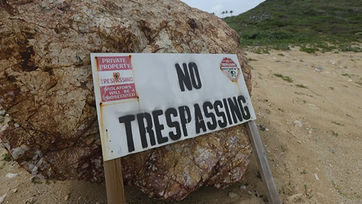 Mobile Game Players Were Catching Pokémon On Epstein Island Forcing Company To Remove It