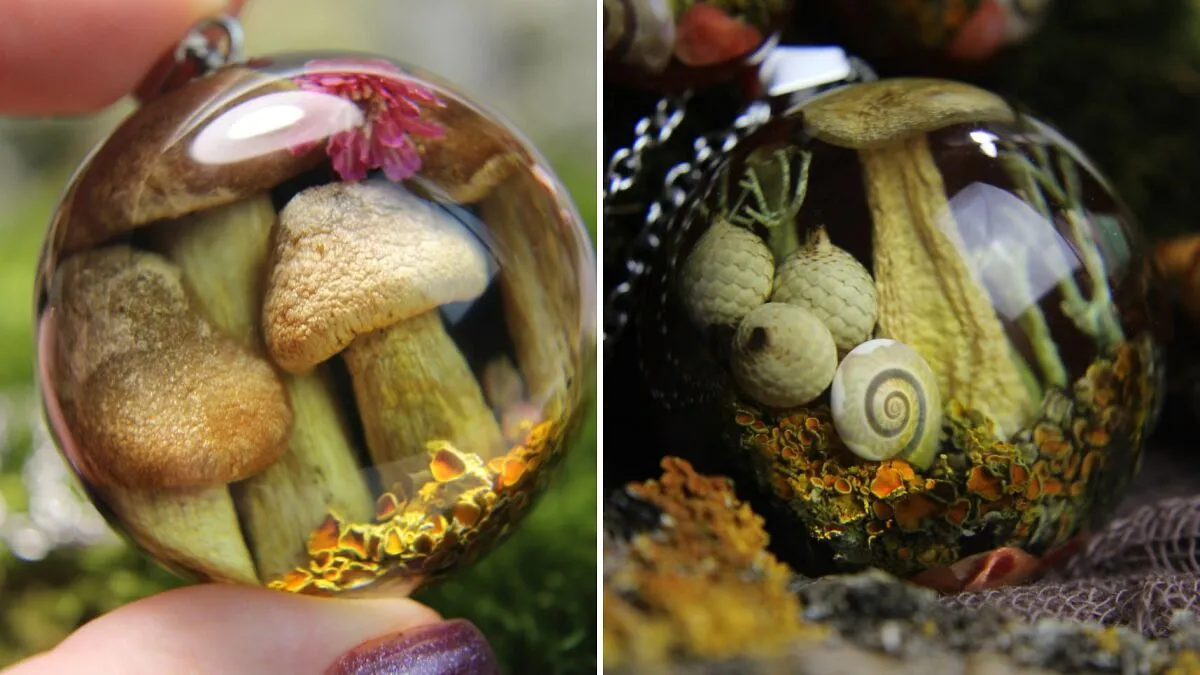 I Spent Over Five Years Perfecting My "Dome Technique" To Turn Tiny Forest Fragments Into Optical Art