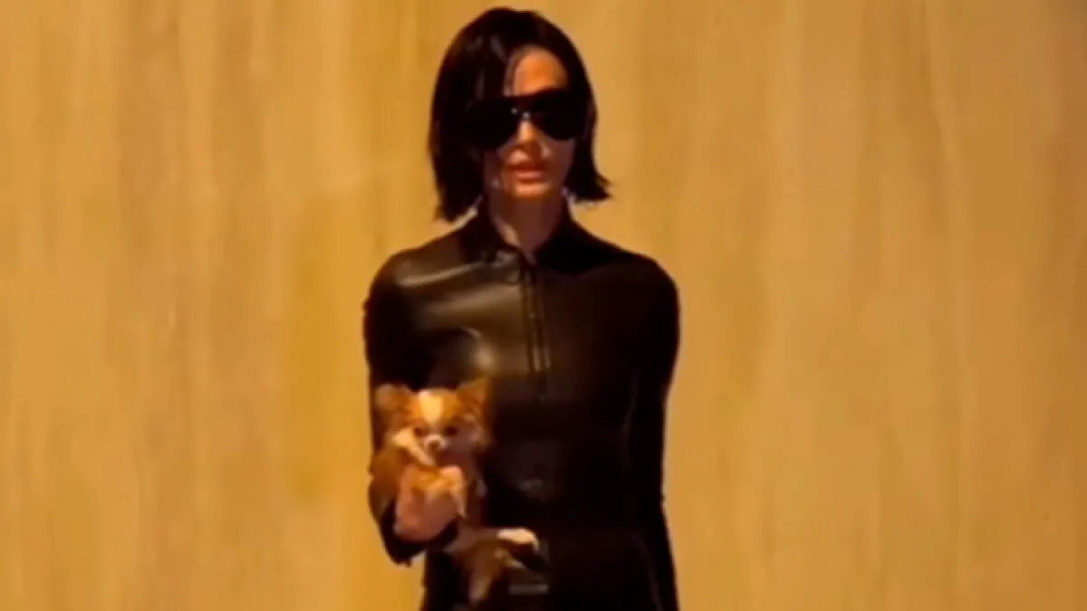 Viral Footage Of Demi Moore's Unrecognizable Transformation Sparks Comparisons To Monica Bellucci