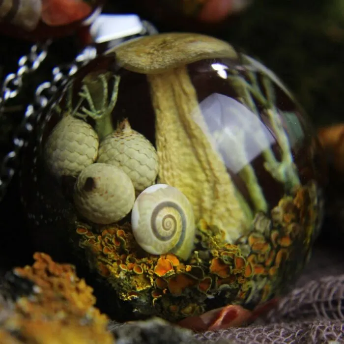 I Spent Over Five Years Perfecting My "Dome Technique" To Turn Tiny Forest Fragments Into Optical Art