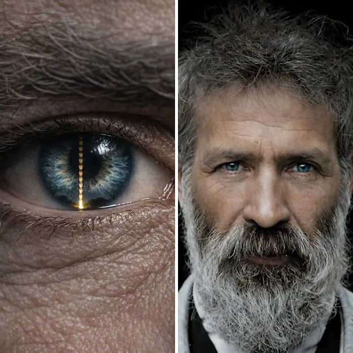 I Explored Brâncuși’s Vision Through A Human Iris Here’s The Story Behind This Portrait