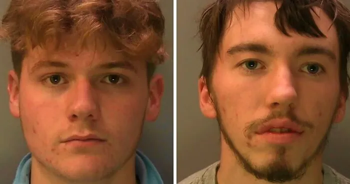 "Karma": Two Students Who Blew Up Sheep With Fireworks After Violent Attack Learn Their Fate