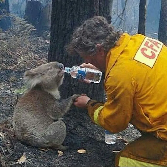 35 Wholesome Pics Showing That There’s Still Good In The World