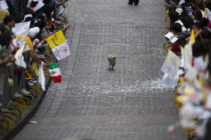 35 Wholesome Pics Showing That There’s Still Good In The World