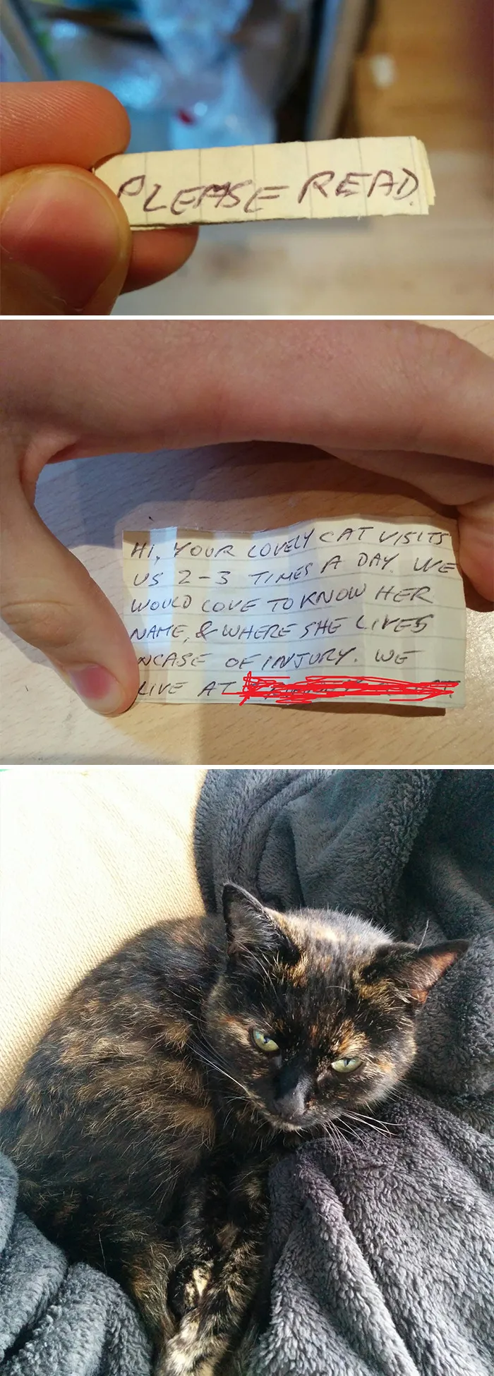 35 Wholesome Pics Showing That There’s Still Good In The World