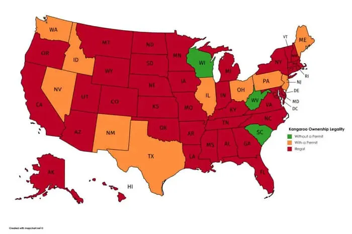 Map of the United States showing kangaroo ownership legality with color-coded states in a cool maps collection.