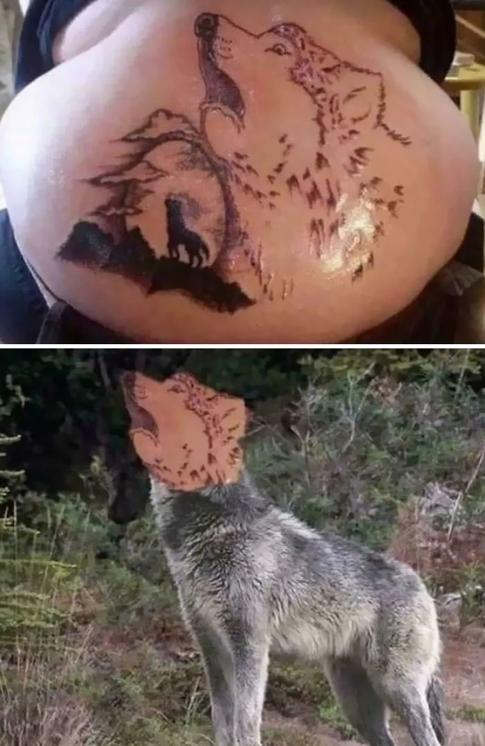 Aullando al huevo lunar