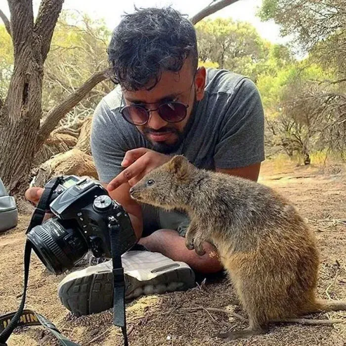 30 Impresionantes fotos de animales que muestran la naturaleza en su máximo esplendor