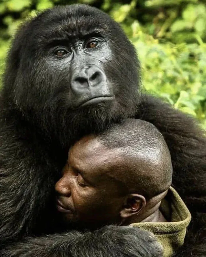 30 Impresionantes fotos de animales que muestran la naturaleza en su máximo esplendor
