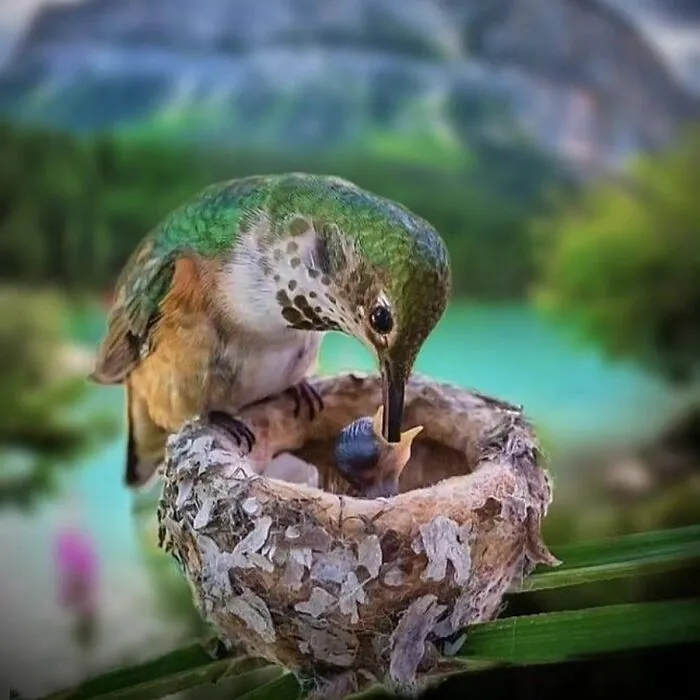 30 Impresionantes fotos de animales que muestran la naturaleza en su máximo esplendor