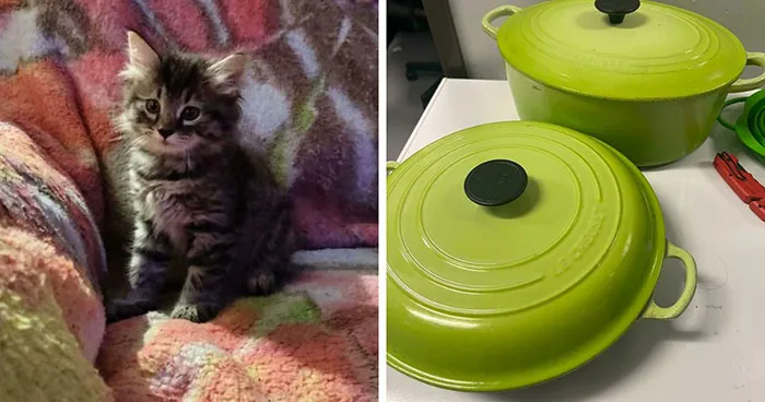 51 Amazing Dumpster Diving Finds That Prove It's Not All Trash