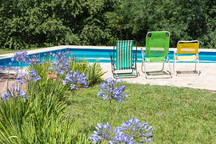 45 Times Neighbors Did Something So Strange It Had To Be Shared