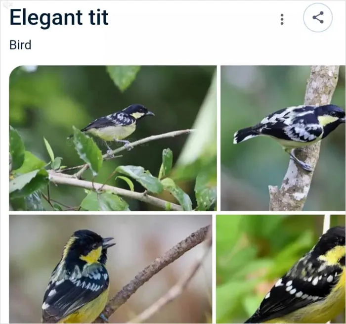 46 Animals With Names So Inappropriate, You Might Think The Scientists Were Just Messing With Us