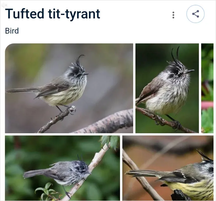 46 Animals With Names So Inappropriate, You Might Think The Scientists Were Just Messing With Us