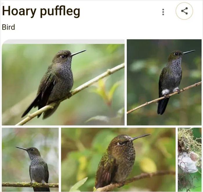 46 Animals With Names So Inappropriate, You Might Think The Scientists Were Just Messing With Us