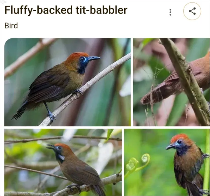 46 Animals With Names So Inappropriate, You Might Think The Scientists Were Just Messing With Us