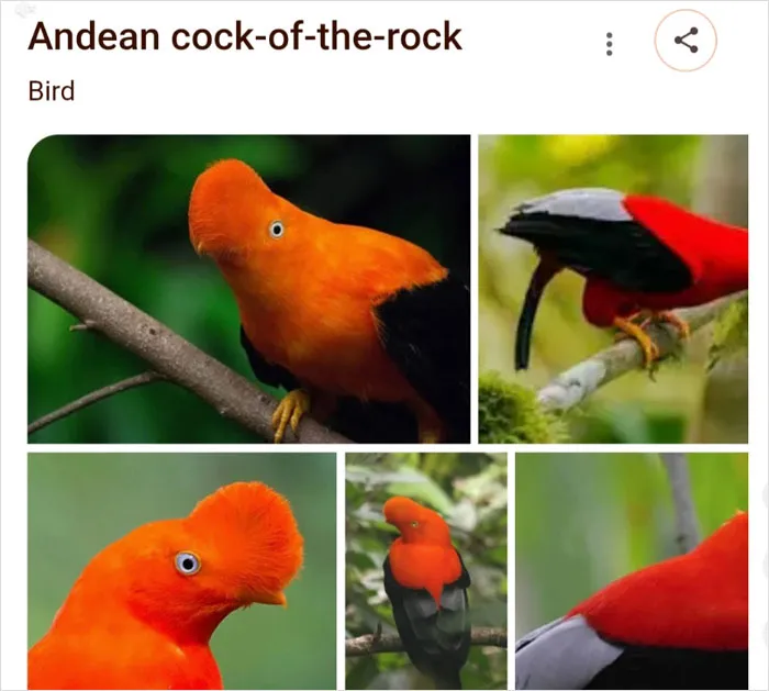 46 Animals With Names So Inappropriate, You Might Think The Scientists Were Just Messing With Us