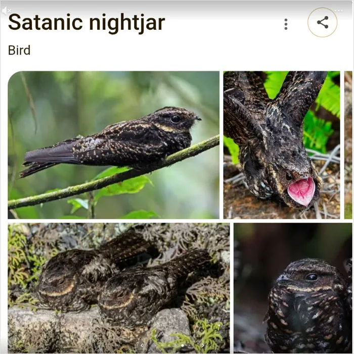 46 Animals With Names So Inappropriate, You Might Think The Scientists Were Just Messing With Us