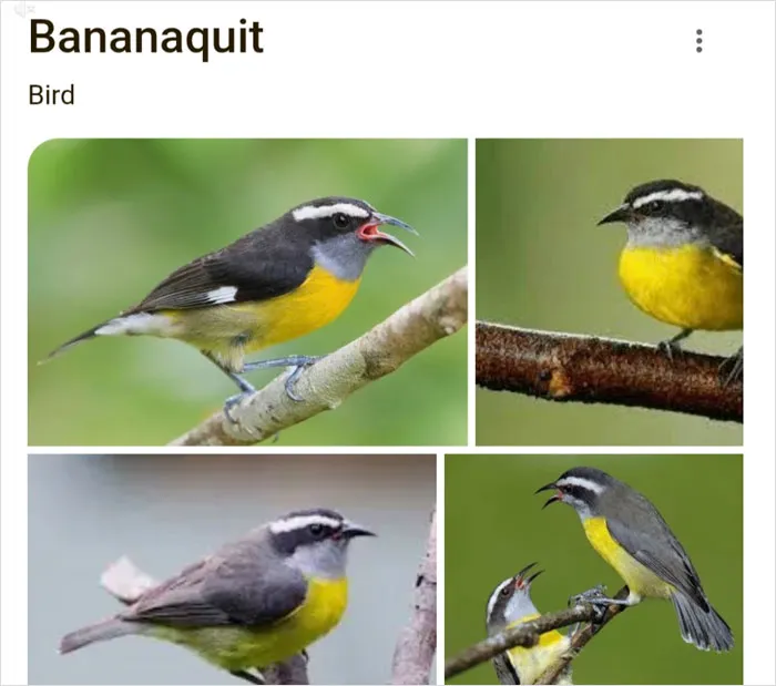 46 Animals With Names So Inappropriate, You Might Think The Scientists Were Just Messing With Us
