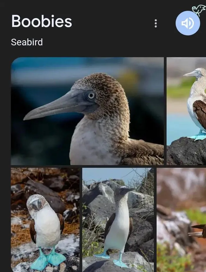 46 Animals With Names So Inappropriate, You Might Think The Scientists Were Just Messing With Us