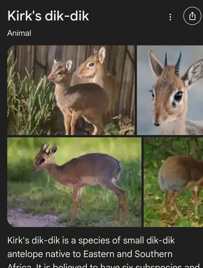 46 Animals With Names So Inappropriate, You Might Think The Scientists Were Just Messing With Us