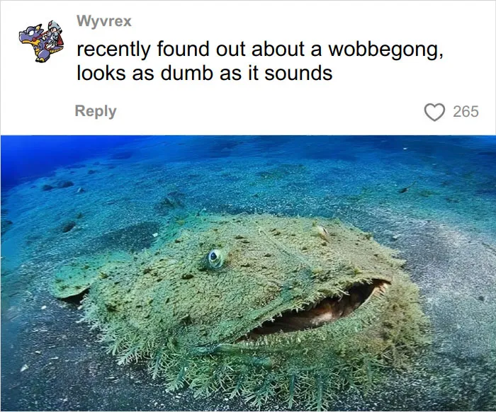 46 Animals With Names So Inappropriate, You Might Think The Scientists Were Just Messing With Us