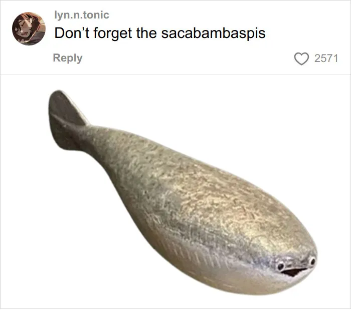46 Animals With Names So Inappropriate, You Might Think The Scientists Were Just Messing With Us