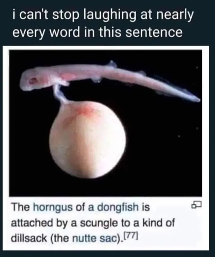 46 Animals With Names So Inappropriate, You Might Think The Scientists Were Just Messing With Us