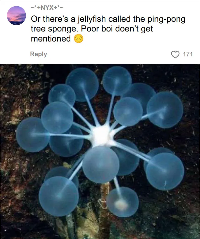 46 Animals With Names So Inappropriate, You Might Think The Scientists Were Just Messing With Us
