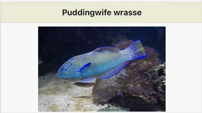 46 Animals With Names So Inappropriate, You Might Think The Scientists Were Just Messing With Us