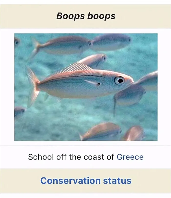 46 Animals With Names So Inappropriate, You Might Think The Scientists Were Just Messing With Us