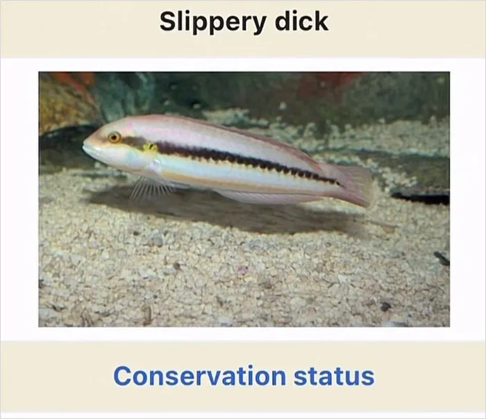 46 Animals With Names So Inappropriate, You Might Think The Scientists Were Just Messing With Us
