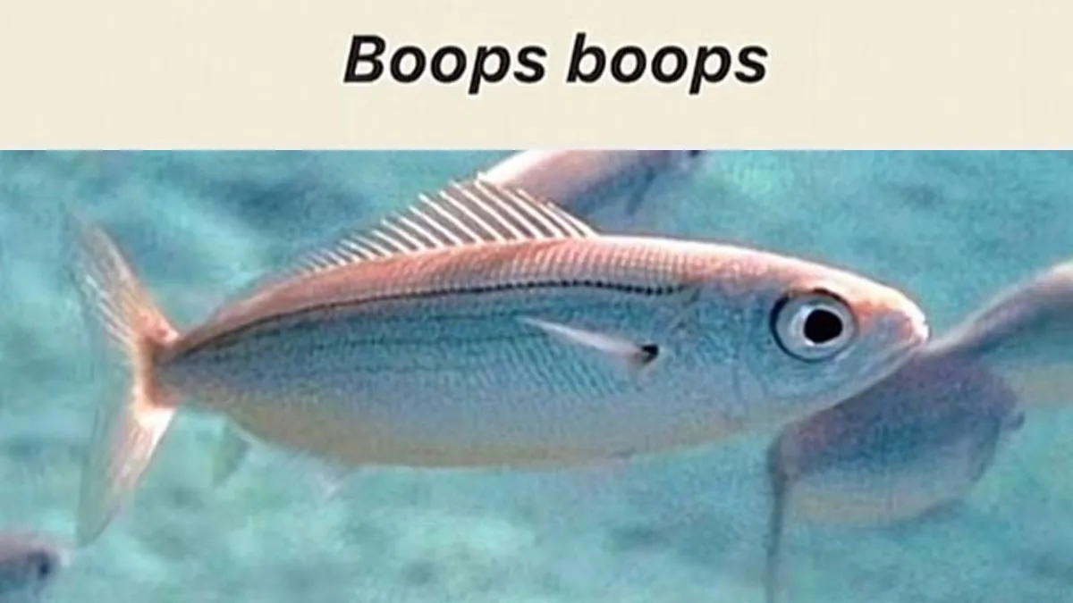 46 Animals With Names So Inappropriate, You Might Think The Scientists Were Just Messing With Us
