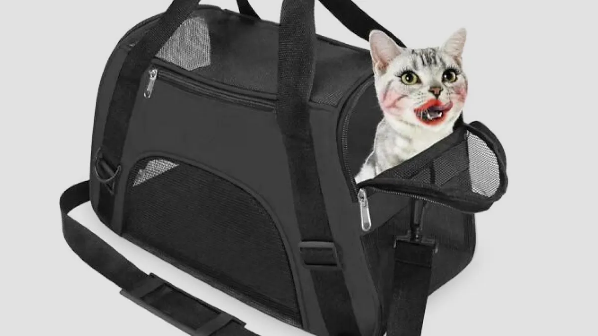 55 Bizarre Photoshop Mistakes That Somehow Made It Online