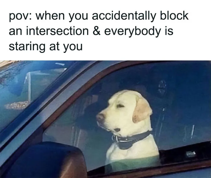 If Your Life Is On Fire And You Try To Convince This Is Fine, These 49 Memes Might Bring You Some Lightness