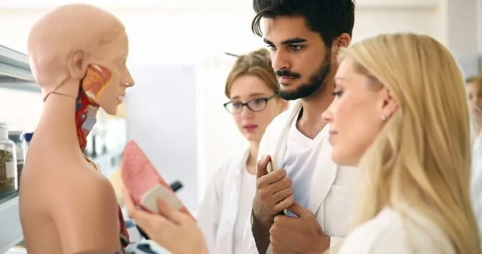 Three medical students studying strange autopsy findings on an anatomical model in a bright laboratory setting.