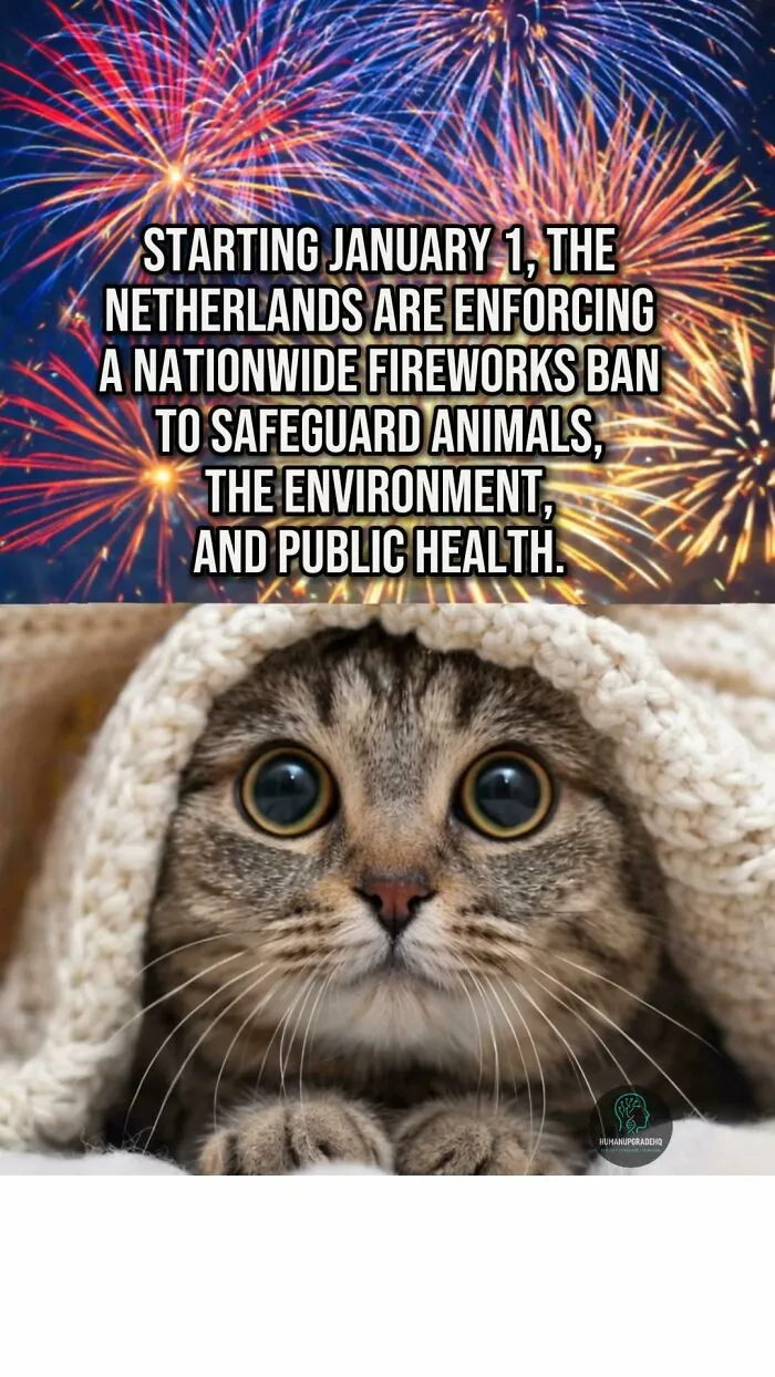 Tired Of Bad News? Here Are 50 Good Things That Happened Recently