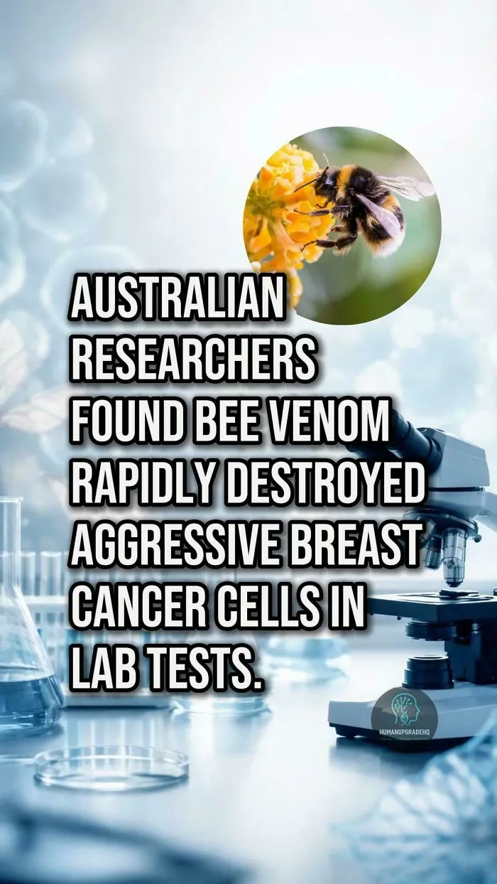 Tired Of Bad News? Here Are 50 Good Things That Happened Recently