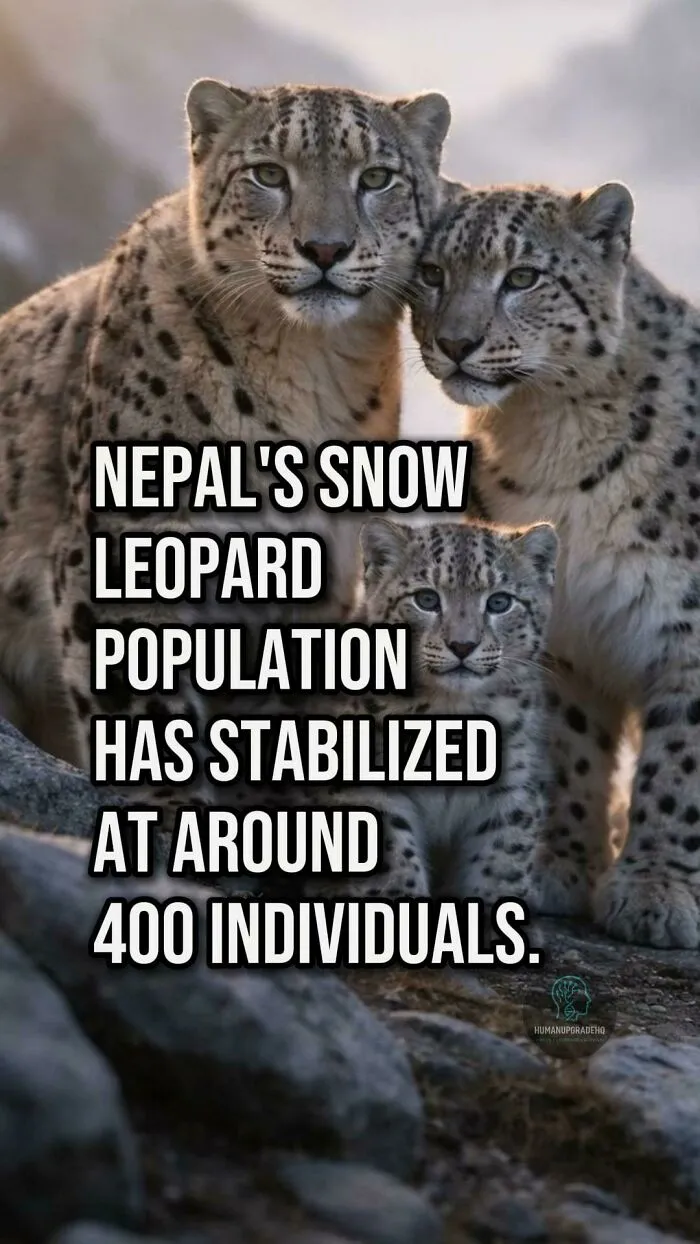 Tired Of Bad News? Here Are 50 Good Things That Happened Recently