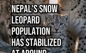 Tired Of Bad News? Here Are 50 Good Things That Happened Recently