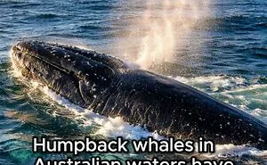 Tired Of Bad News? Here Are 50 Good Things That Happened Recently