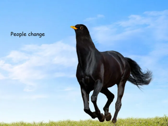 Unhinged and wild pics showing an animal with a horse body and bird head in a surreal outdoor scene.