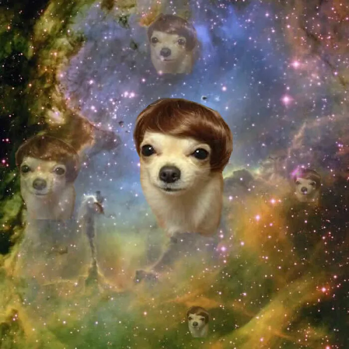 30 Of The Most Wild And Unhinged Photoshop Pics