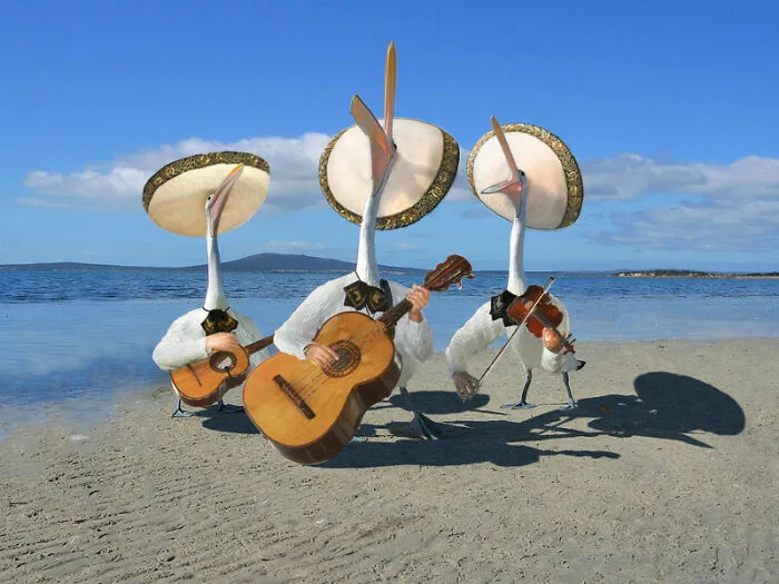 30 Of The Most Wild And Unhinged Photoshop Pics