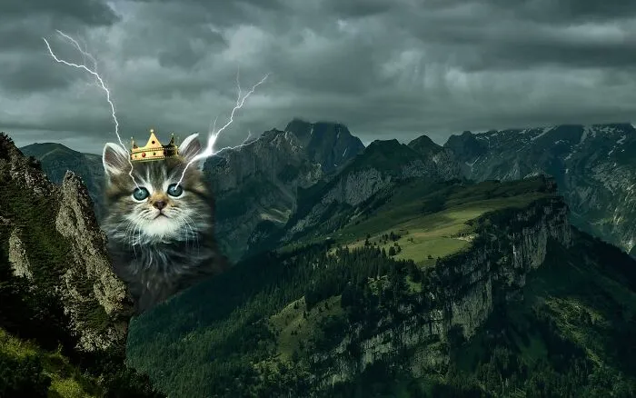 30 Of The Most Wild And Unhinged Photoshop Pics
