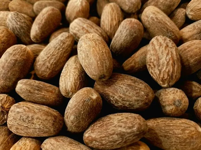 Close-up of nutmeg seeds illustrating one of the most dangerous things often dismissed in everyday life.