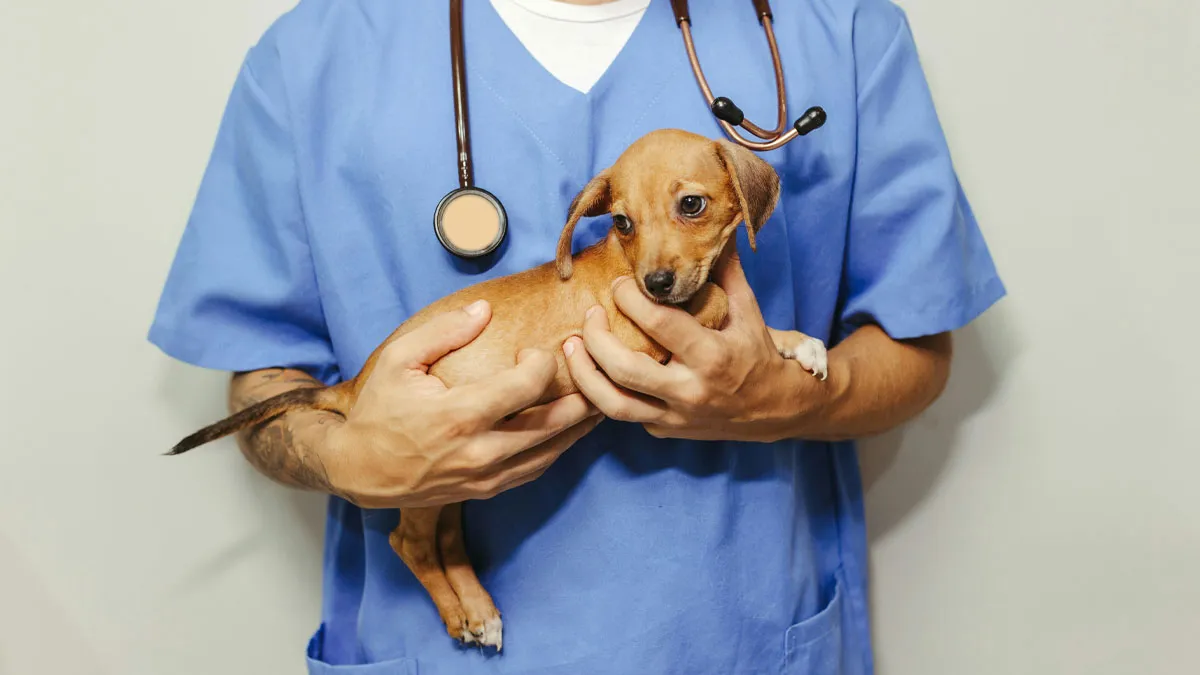 40 Pet Names So Unhinged Even Pharmacists Had To Laugh
