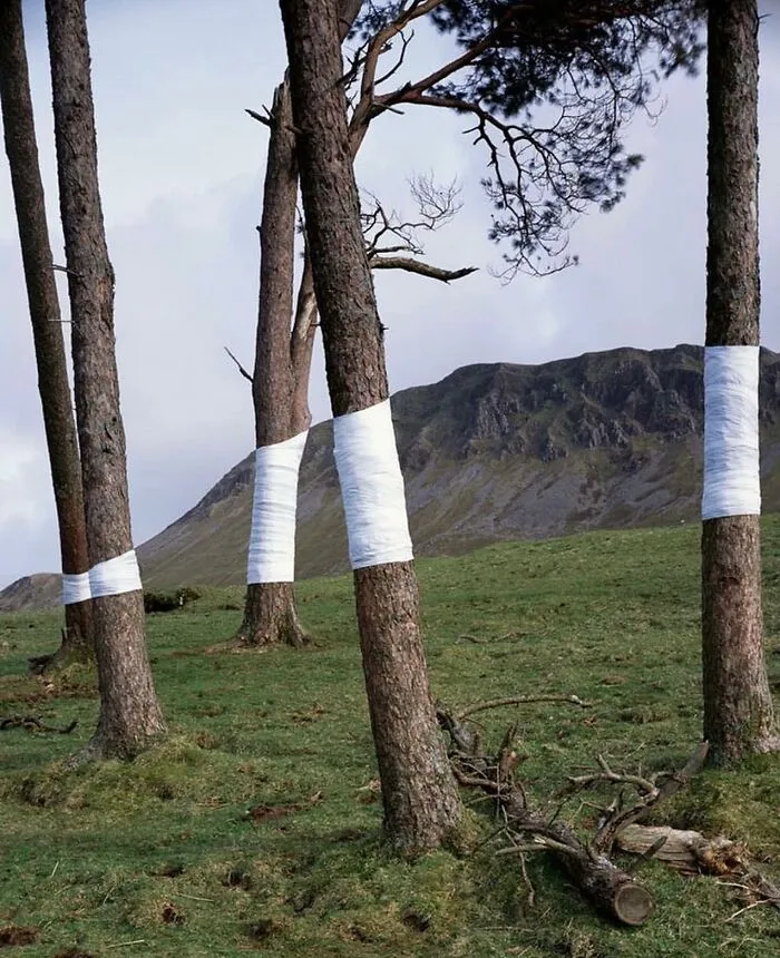 30 Photos That Seem Like A Glitch In The Universe But Some Are Actually Brilliantly Staged